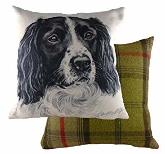 Above: Waggydogz cushion from Evans Lichfield.