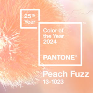 Pantone-2