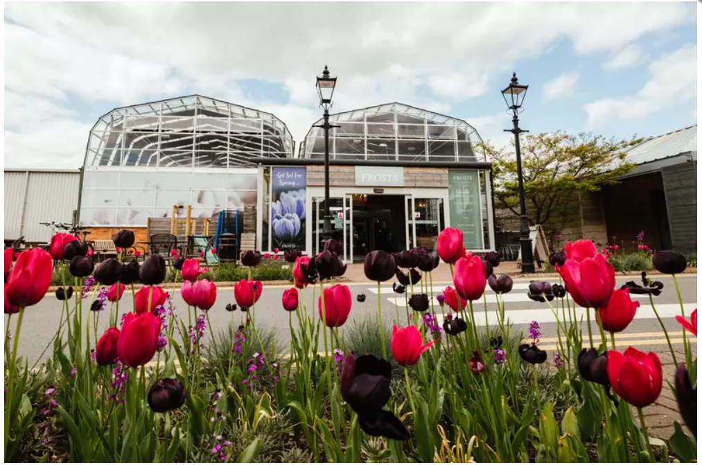 Blue Diamond Acquires Frosts Garden Centre At Woburn Sands Gifts and Home